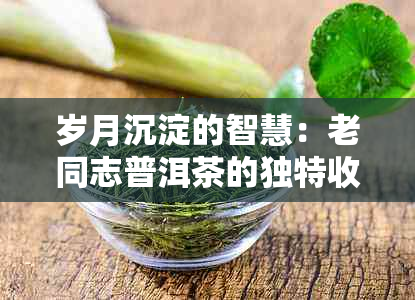 岁月沉淀的智慧：老同志普洱茶的独特收藏价值