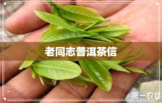 老同志普洱茶信