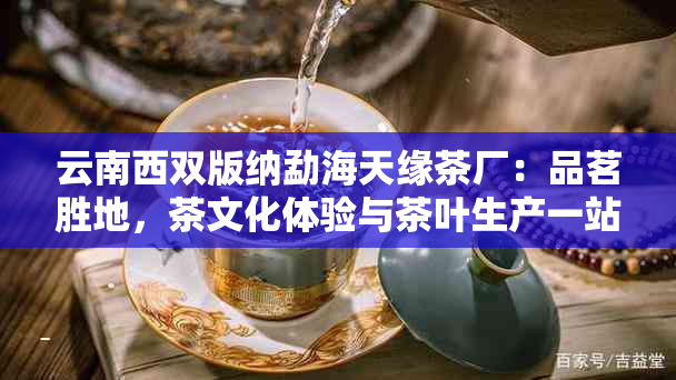 云南西双版纳勐海天缘茶厂：品茗胜地，茶文化体验与茶叶生产一站式服务