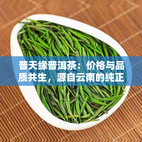 普天缘普洱茶：价格与品质共生，源自云南的纯正之味