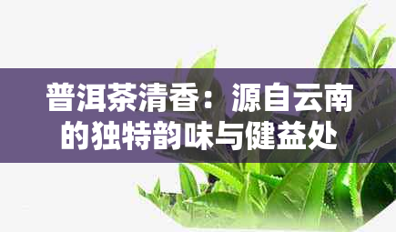 普洱茶清香：源自云南的独特韵味与健益处