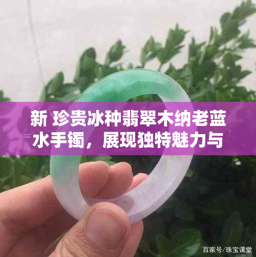 新 珍贵冰种翡翠木纳老蓝水手镯，展现独特魅力与优雅