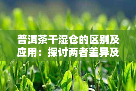 普洱茶干湿仓的区别及应用：探讨两者差异及各自用途