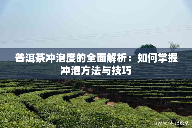 普洱茶冲泡度的全面解析：如何掌握冲泡方法与技巧