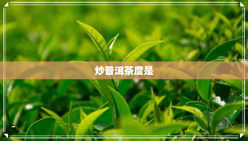 炒普洱茶度是