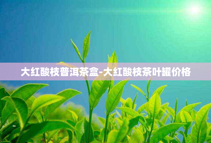 大红酸枝普洱茶盒-大红酸枝茶叶罐价格