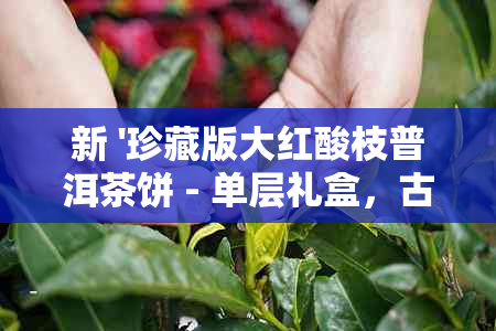 新 '珍藏版大红酸枝普洱茶饼 - 单层礼盒，古树茶韵，品质越'