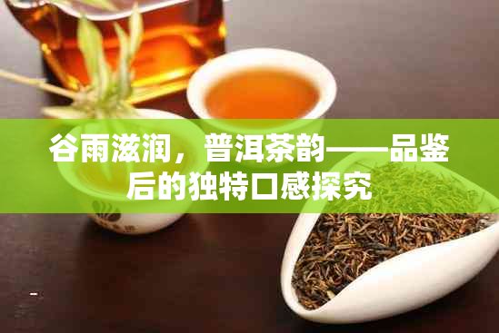 谷雨滋润，普洱茶韵——品鉴后的独特口感探究