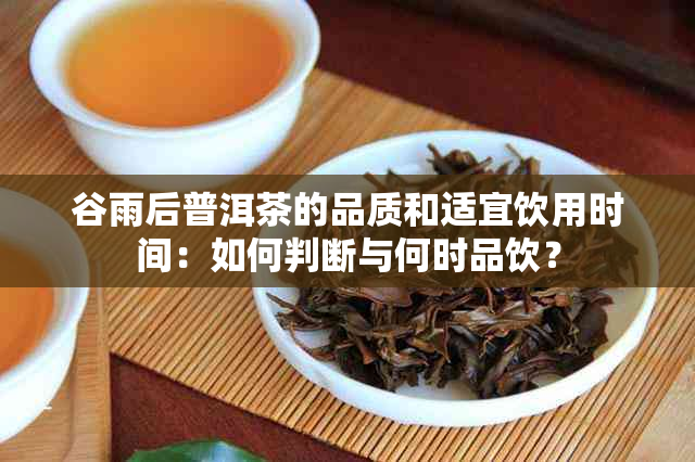 谷雨后普洱茶的品质和适宜饮用时间：如何判断与何时品饮？