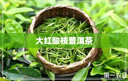 大红酸枝普洱茶