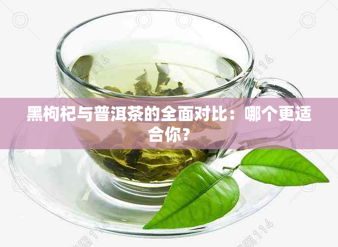 黑枸杞与普洱茶的全面对比：哪个更适合你？