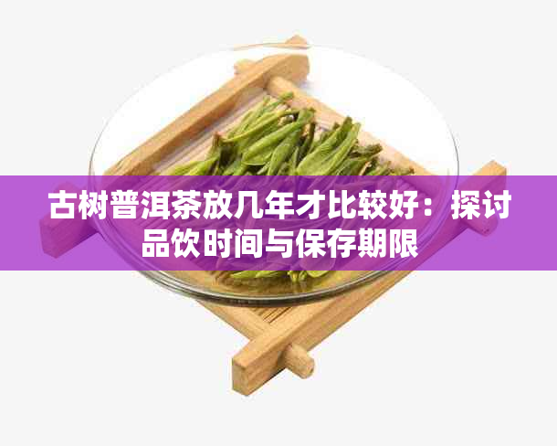 古树普洱茶放几年才比较好：探讨品饮时间与保存期限