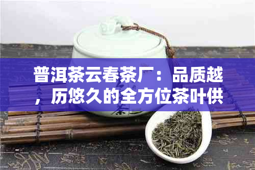 普洱茶云春茶厂：品质越，历悠久的全方位茶叶供应商