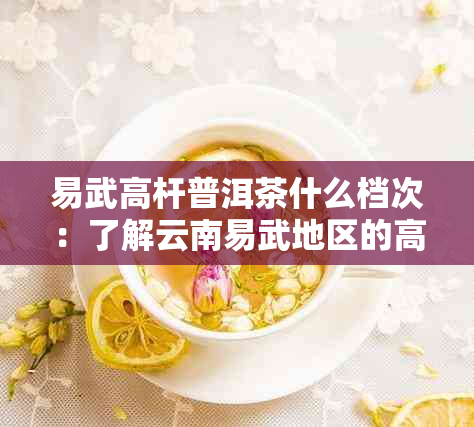 易武高杆普洱茶什么档次：了解云南易武地区的高杆茶特点与品质