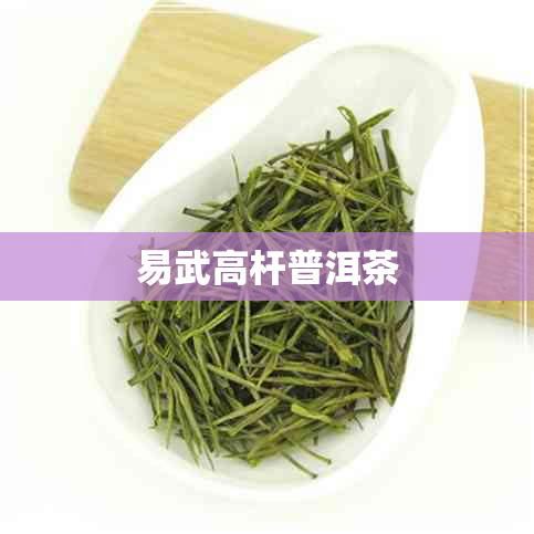 易武高杆普洱茶