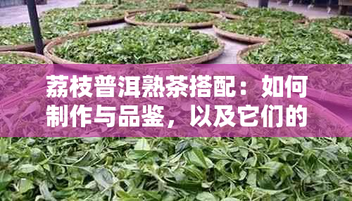 荔枝普洱熟茶搭配：如何制作与品鉴，以及它们的功效和禁忌