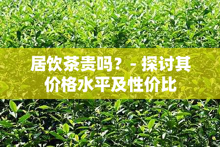 居饮茶贵吗？- 探讨其价格水平及性价比