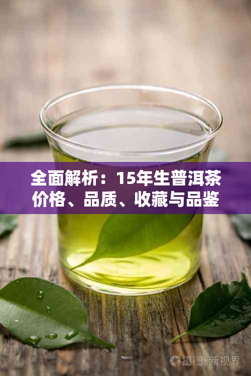 全面解析：15年生普洱茶价格、品质、收藏与品鉴，助您了解其价值与优劣