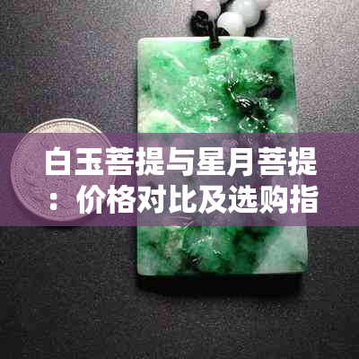 白玉菩提与星月菩提：价格对比及选购指南