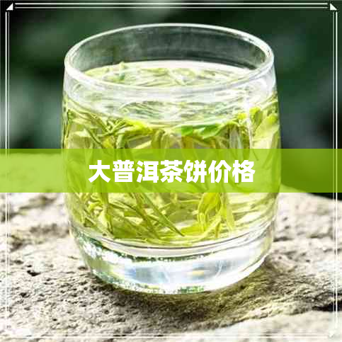 大普洱茶饼价格