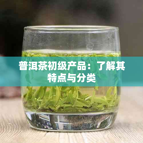 普洱茶初级产品：了解其特点与分类