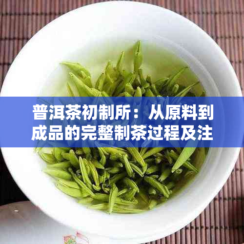 普洱茶初制所：从原料到成品的完整制茶过程及注意事项，如何品尝普洱茶？