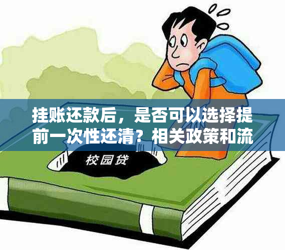 挂账还款后，是否可以选择提前一次性还清？相关政策和流程详解