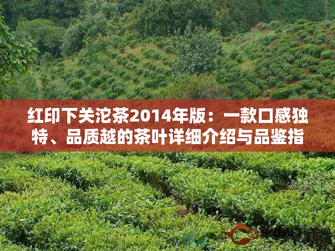 红印下关沱茶2014年版：一款口感独特、品质越的茶叶详细介绍与品鉴指南