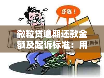 微粒贷逾期还款金额及起诉标准：用户需要了解的所有信息