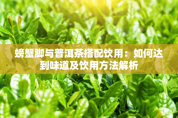 螃蟹脚与普洱茶搭配饮用：如何达到味道及饮用方法解析