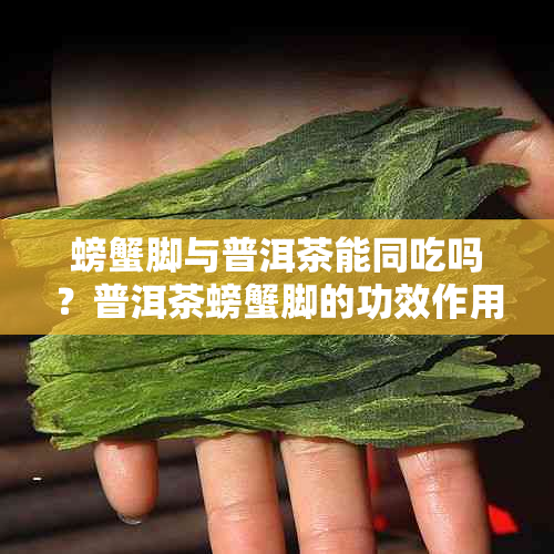 螃蟹脚与普洱茶能同吃吗？普洱茶螃蟹脚的功效作用揭秘