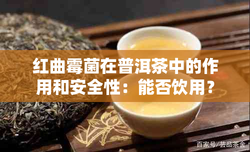 红曲霉菌在普洱茶中的作用和安全性：能否饮用？