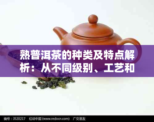 熟普洱茶的种类及特点解析：从不同级别、工艺和原料等方面全面了解熟普洱茶