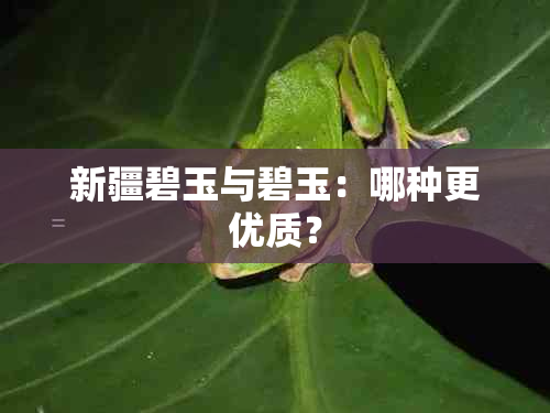 新疆碧玉与碧玉：哪种更优质？