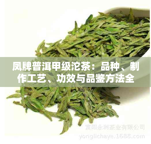 凤牌普洱甲级沱茶：品种、制作工艺、功效与品鉴方法全面解析