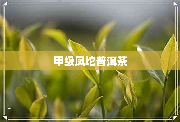 甲级凤坨普洱茶