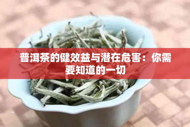 普洱茶的健效益与潜在危害：你需要知道的一切