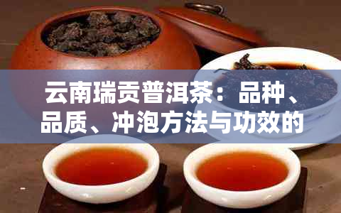 云南瑞贡普洱茶：品种、品质、冲泡方法与功效的全面解析