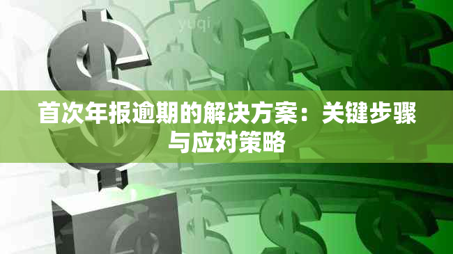 首次年报逾期的解决方案：关键步骤与应对策略