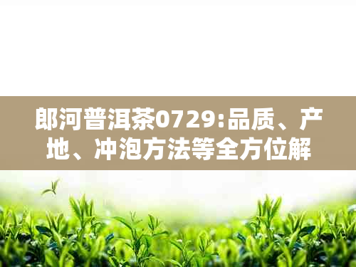 郎河普洱茶0729:品质、产地、冲泡方法等全方位解答与探讨