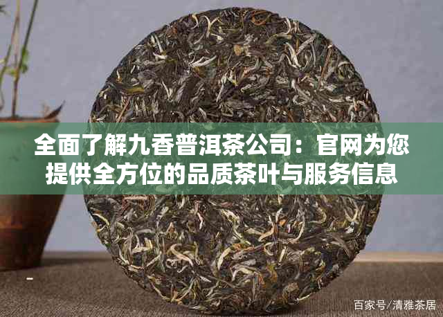 全面了解九香普洱茶公司：官网为您提供全方位的品质茶叶与服务信息