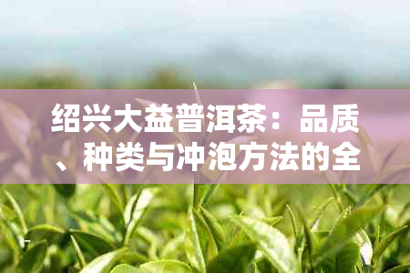 绍兴大益普洱茶：品质、种类与冲泡方法的全面解析，助您轻松挑选和品鉴