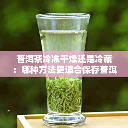 普洱茶冷冻干燥还是冷藏：哪种方法更适合保存普洱茶？