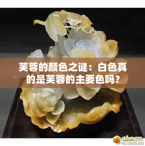 芙蓉的颜色之谜：白色真的是芙蓉的主要色吗？