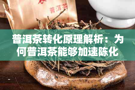 普洱茶转化原理解析：为何普洱茶能够加速陈化及影响其品质的因素探讨