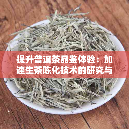 提升普洱茶品鉴体验：加速生茶陈化技术的研究与应用