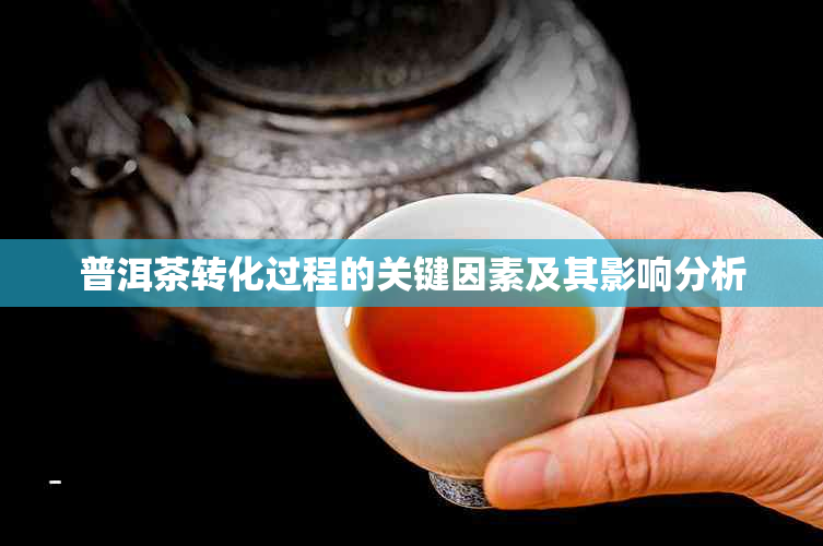 普洱茶转化过程的关键因素及其影响分析