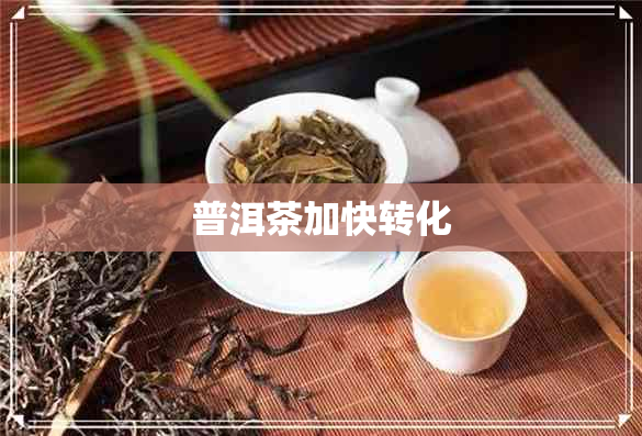 普洱茶加快转化