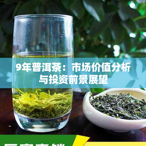 9年普洱茶：市场价值分析与投资前景展望