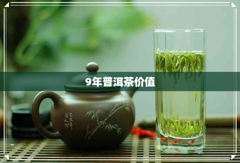 9年普洱茶价值